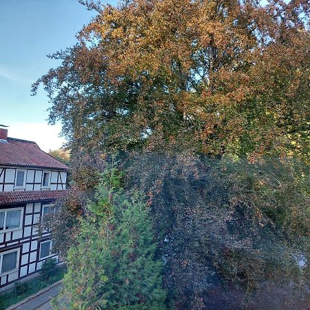Gemuetliche Ferienwohnung Im Harz Bad Grund Exterior foto