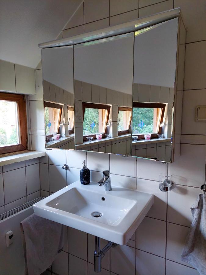 Gemuetliche Ferienwohnung Im Harz Bad Grund Exterior foto