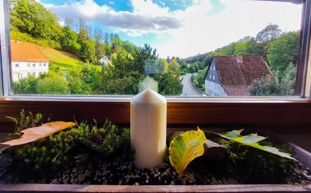Gemuetliche Ferienwohnung Im Harz Bad Grund Exterior foto