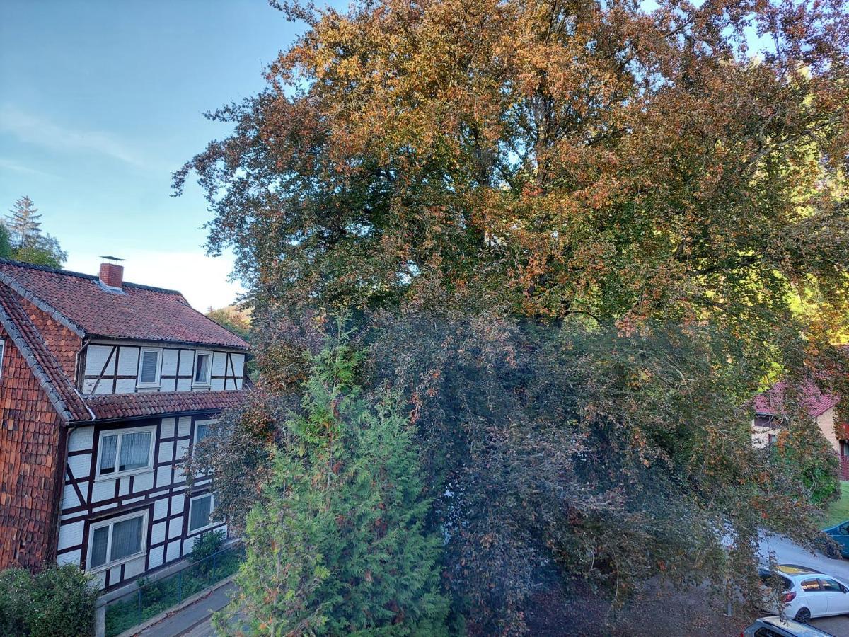 Gemuetliche Ferienwohnung Im Harz Bad Grund Exterior foto